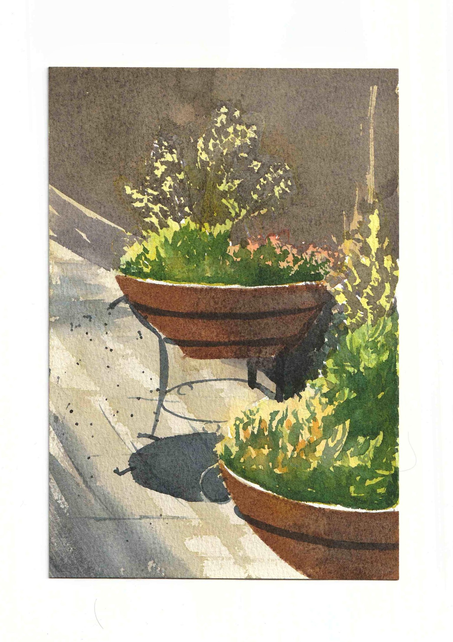 Flower pots - image 1 - student project