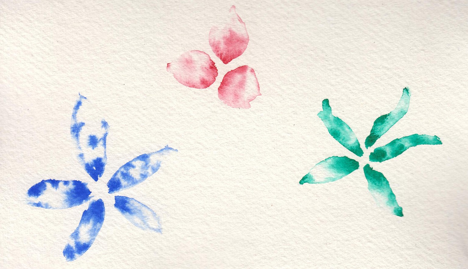 Magical fun with flowers - image 5 - student project