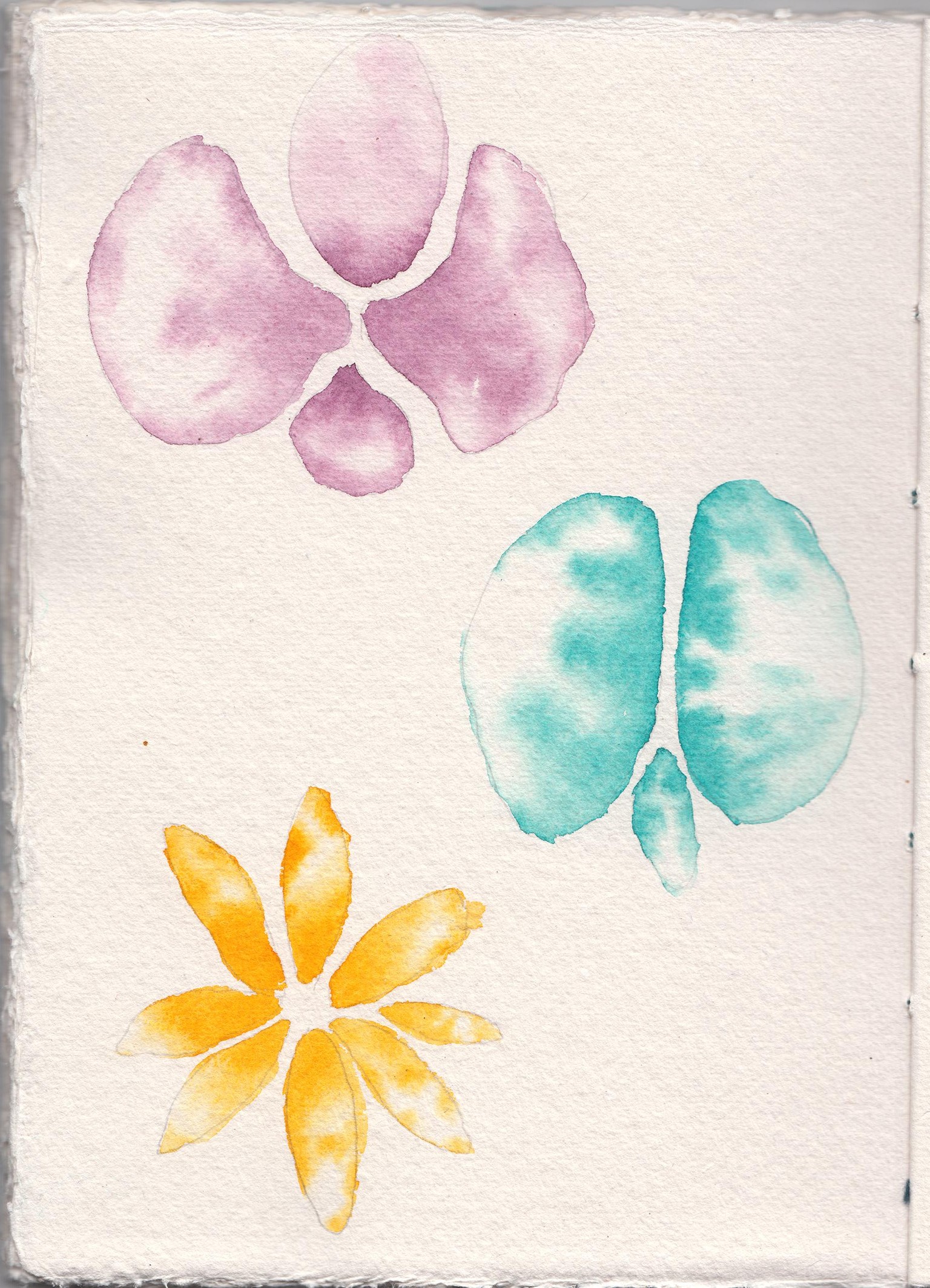 Magical fun with flowers - image 4 - student project