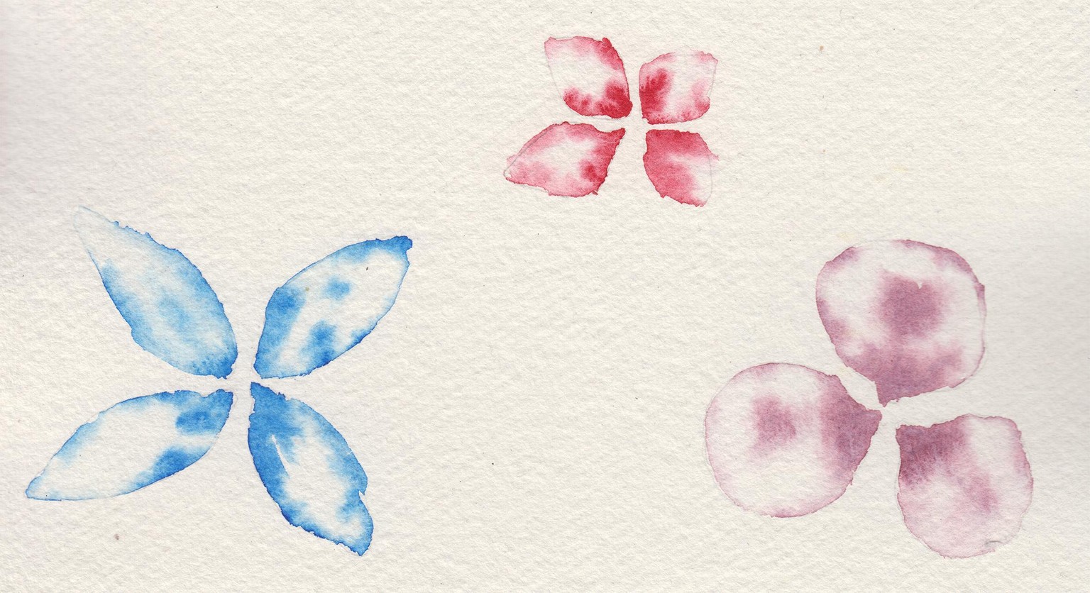 Magical fun with flowers - image 3 - student project