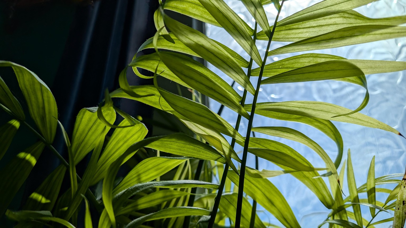 Playing with Composition - image 1 - student project