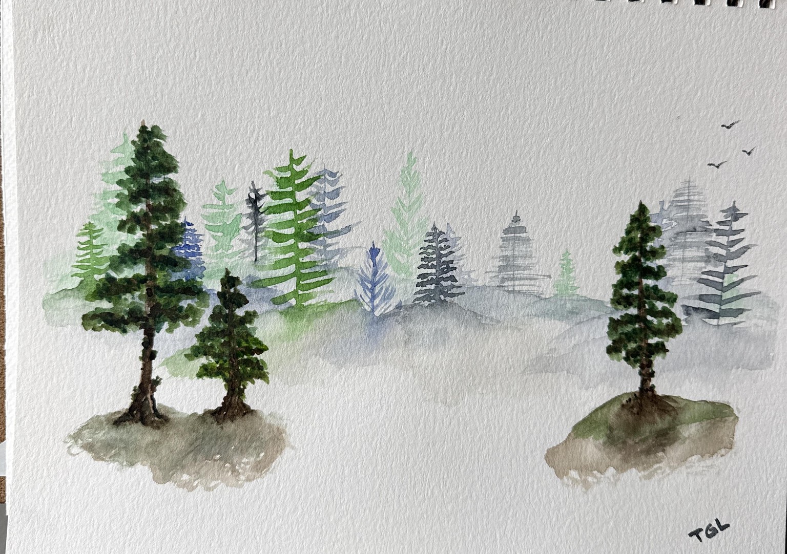 pines many ways - TGL - image 1 - student project