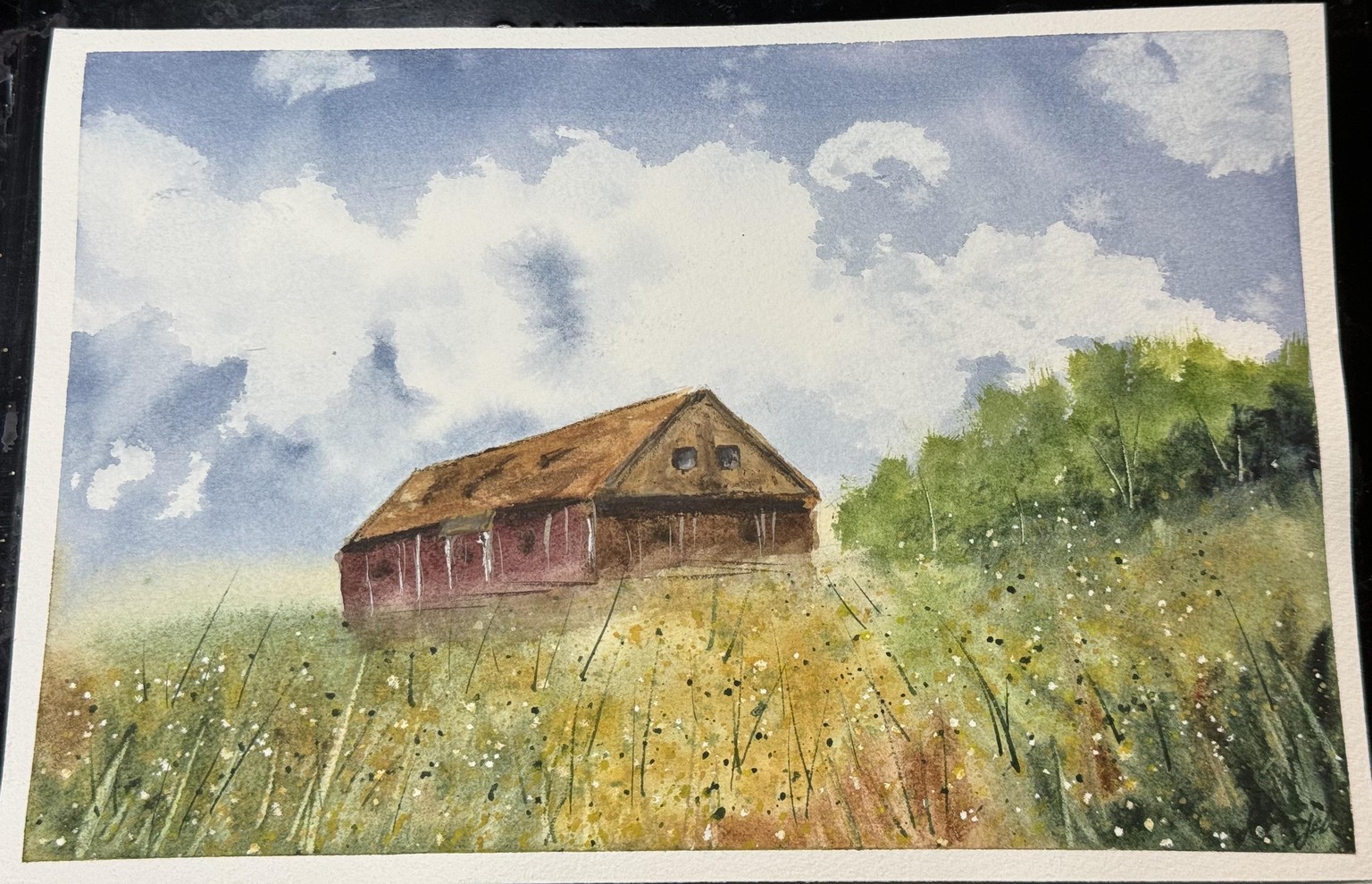 Barn &Wild Flower Field - image 1 - student project