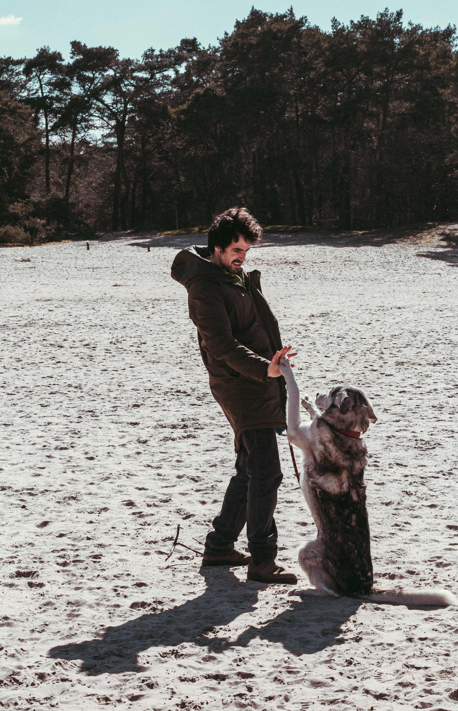 Cinematic edit - image 3 - student project