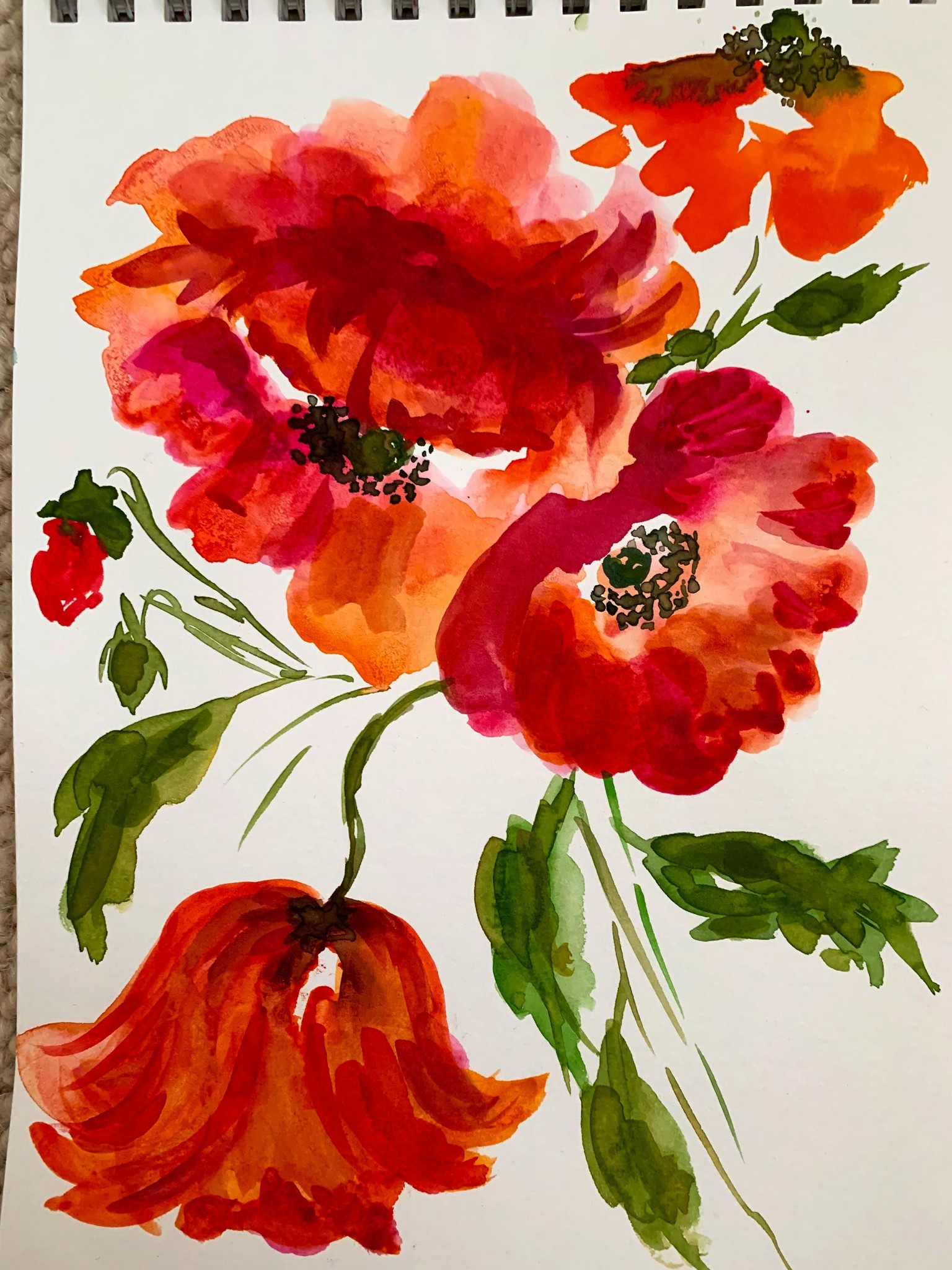 Poppies and Roses - image 2 - student project