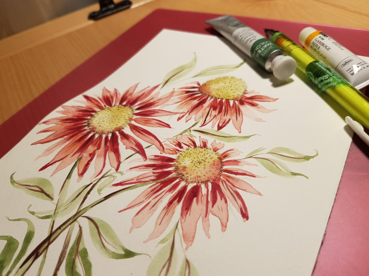 Cone Flowers - image 1 - student project