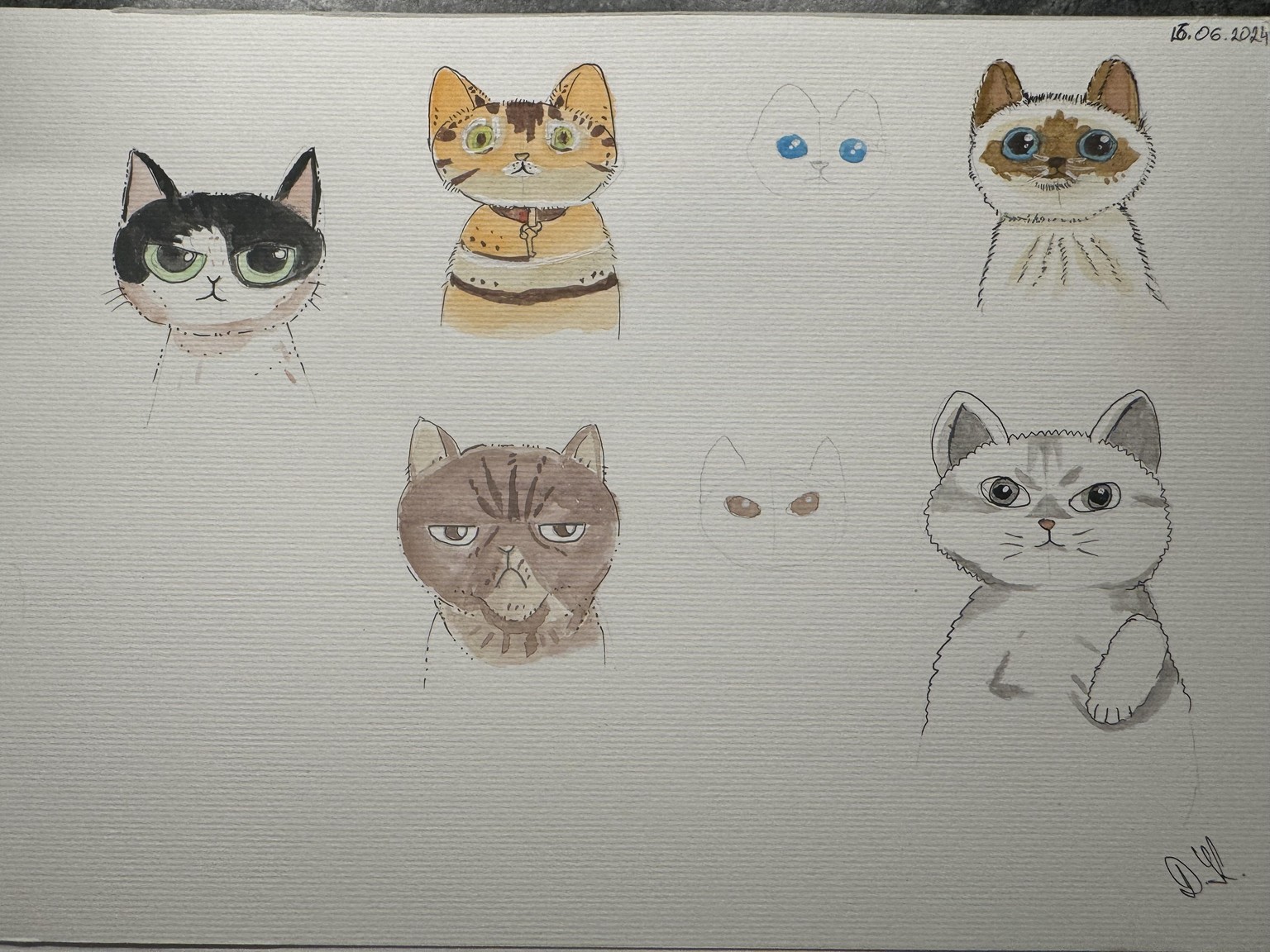 Cartoon Cat Portrait - image 2 - student project