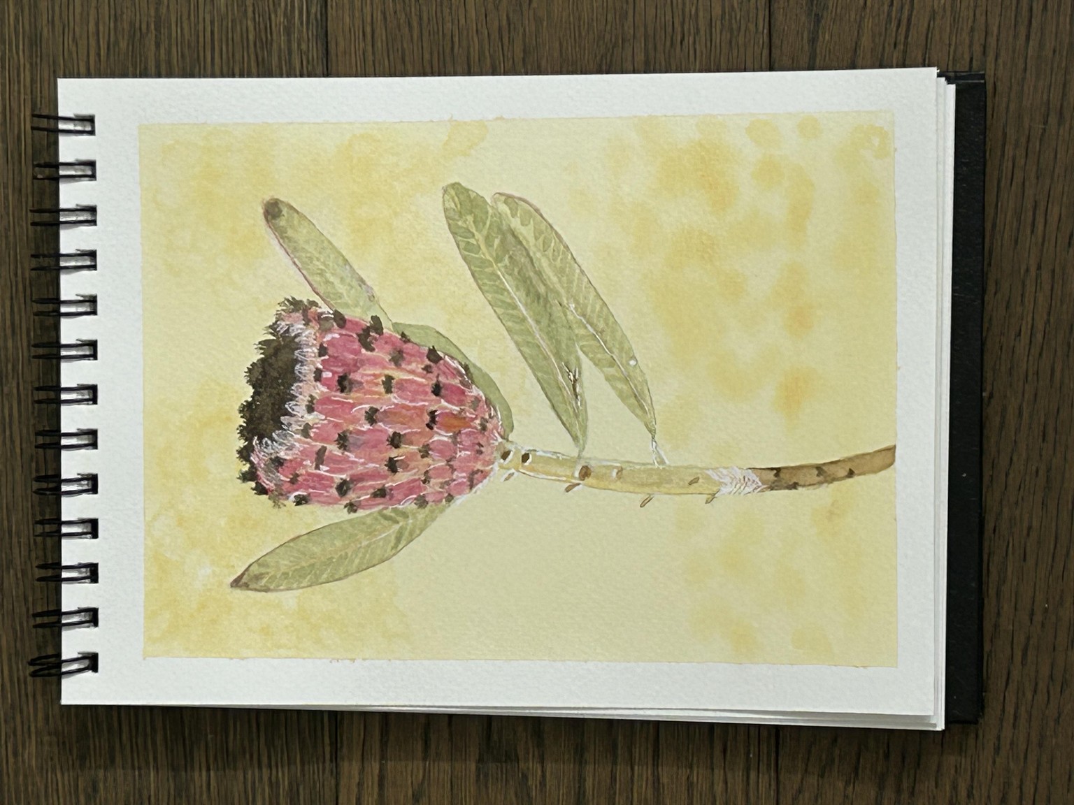 Watercolor: Introduction to Layering - image 1 - student project