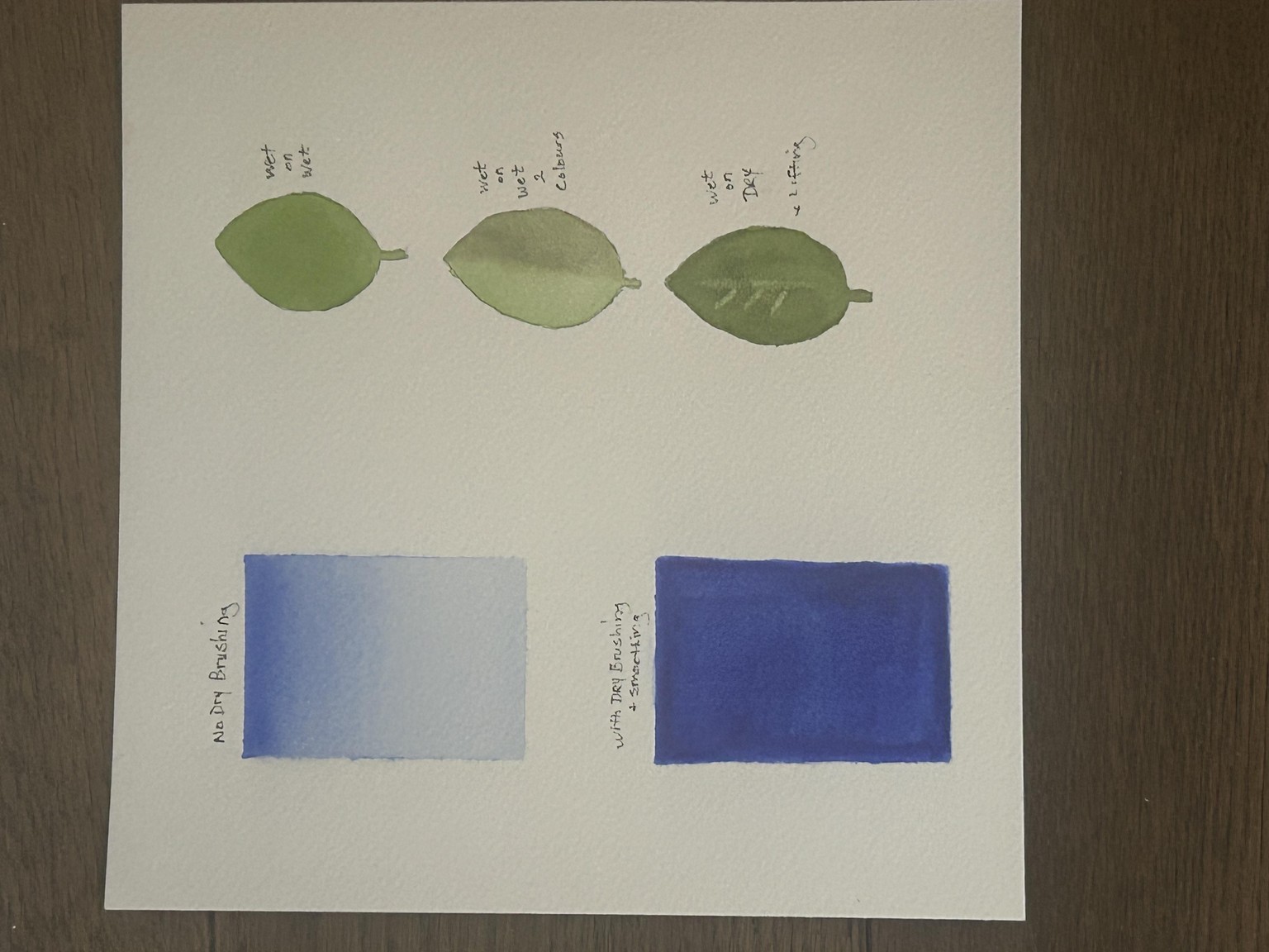 Master Main Basic Botanical Techniques - image 1 - student project