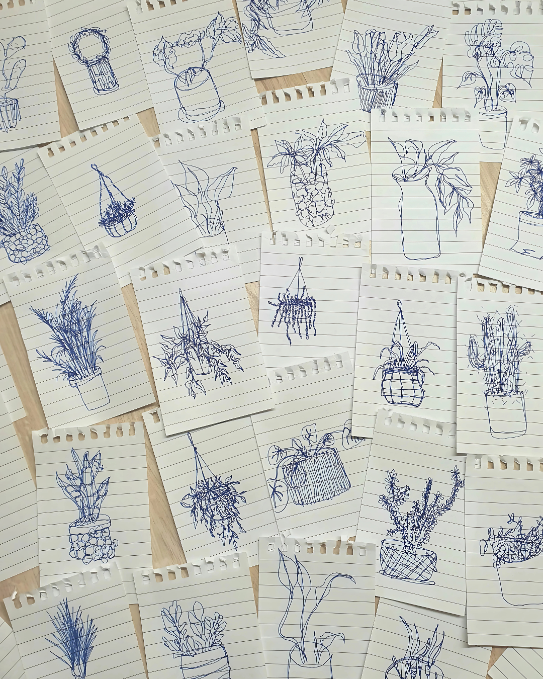 Blind Plant Drawings - image 1 - student project