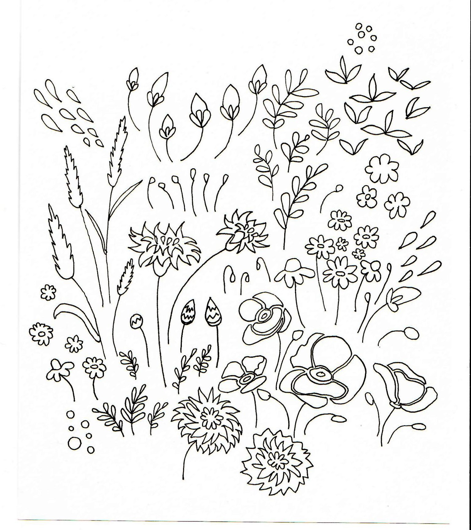 Flowers - image 1 - student project