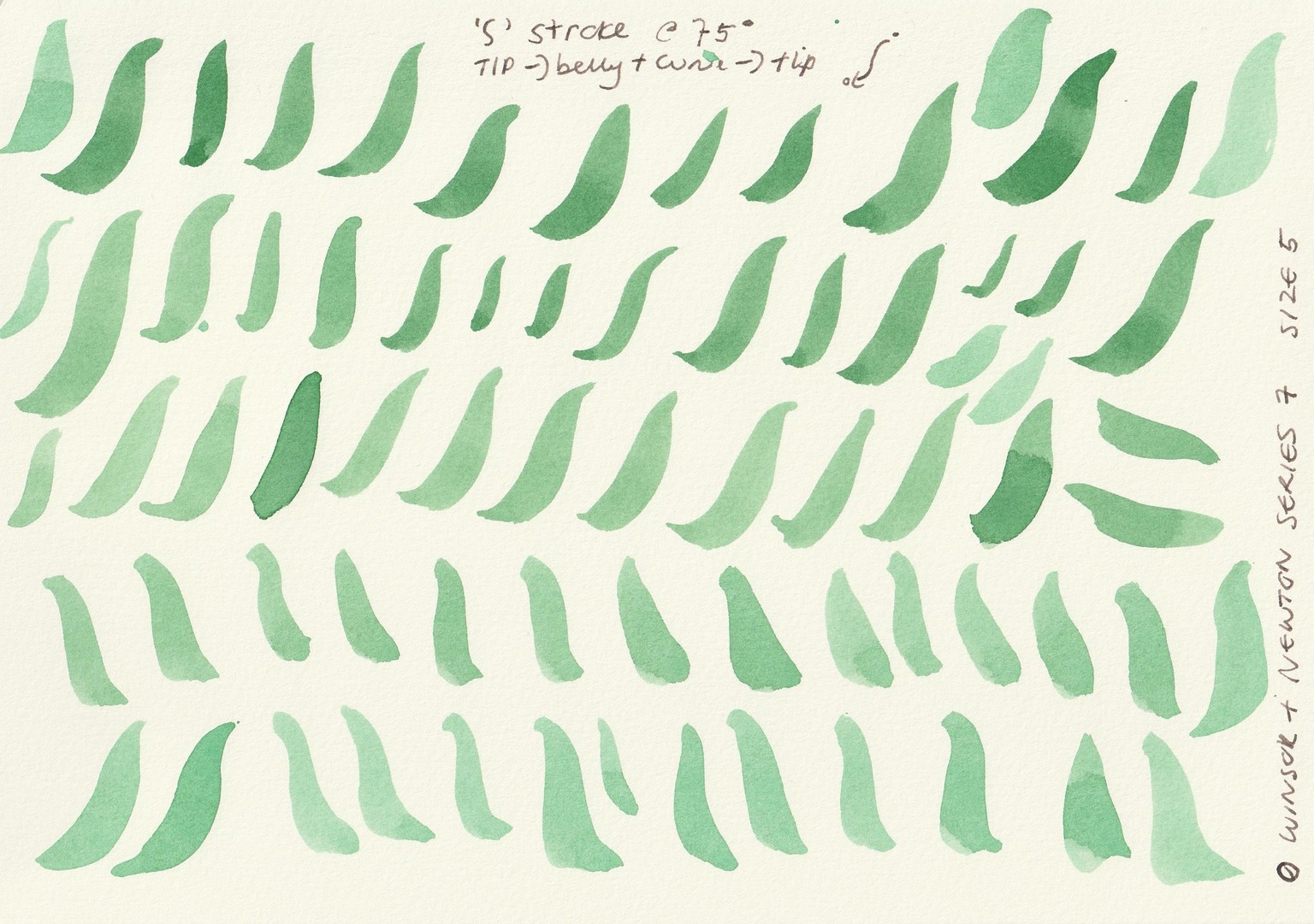 Round brush strokes - image 1 - student project