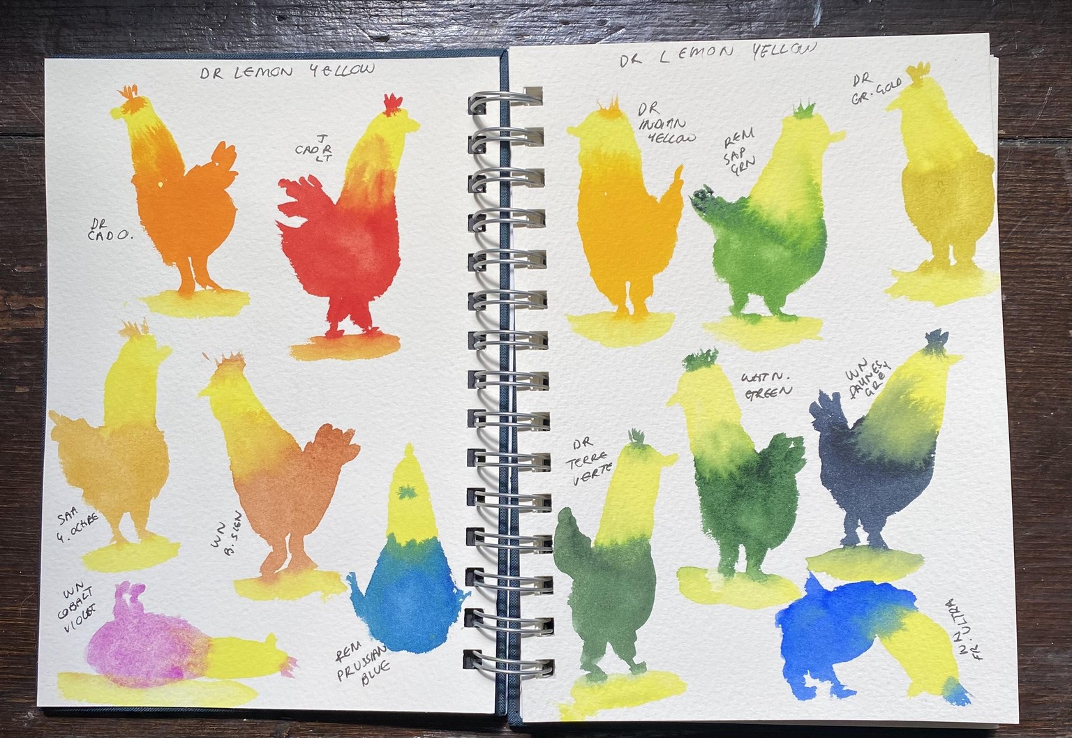 Colourful chickens - image 1 - student project