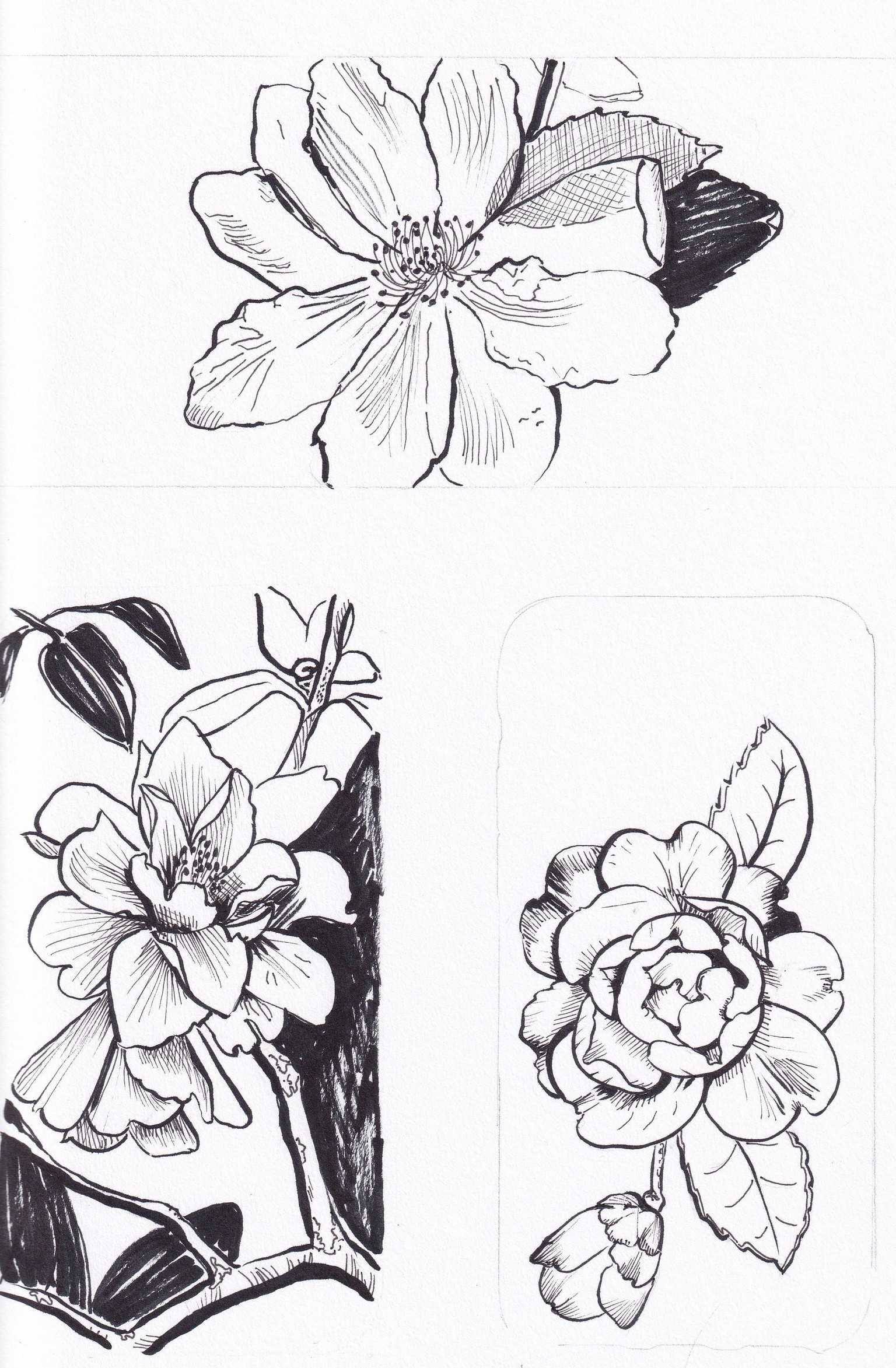 Camellia kitchen textiles - image 1 - student project
