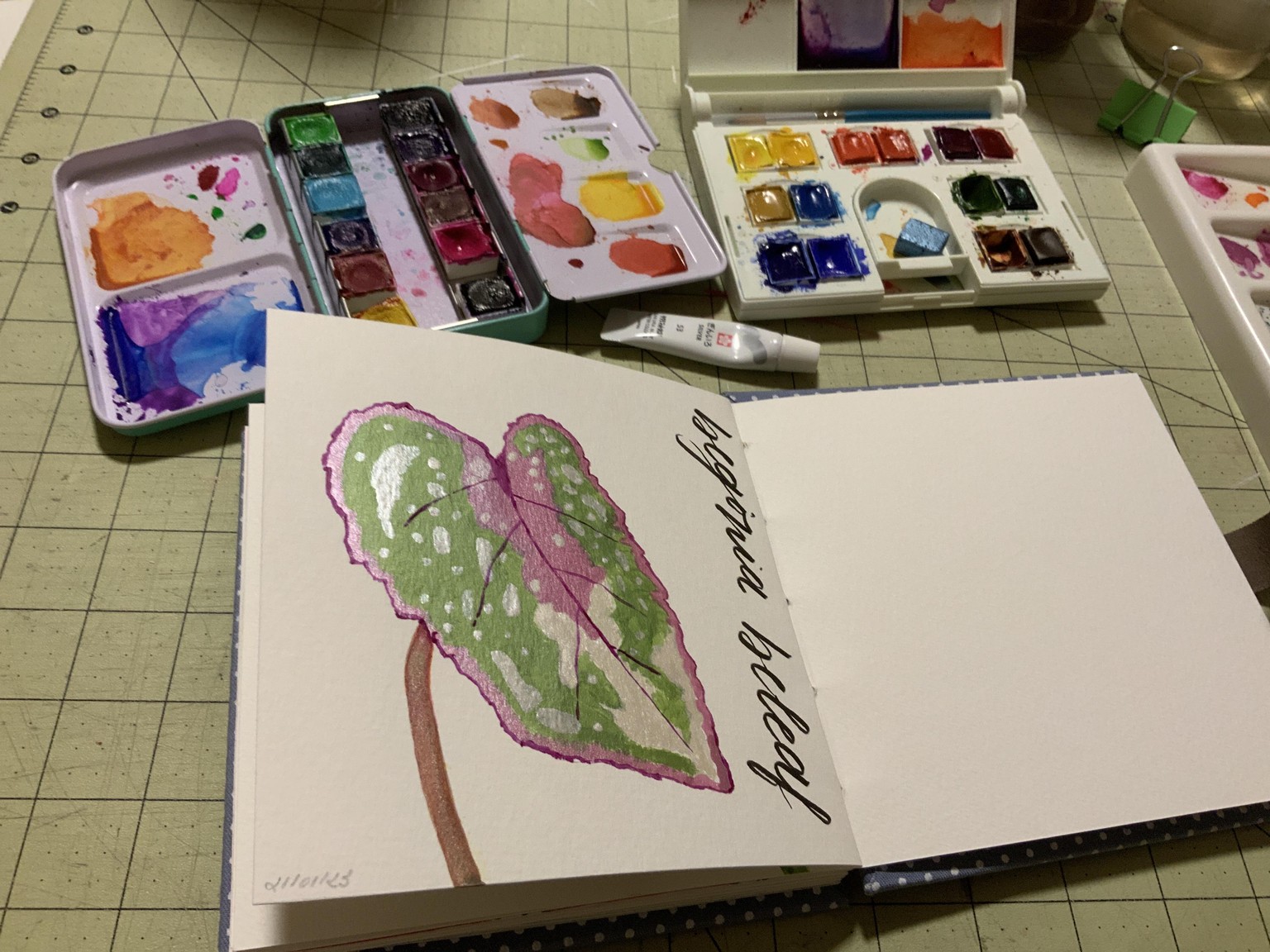 Caladium & More - image 2 - student project