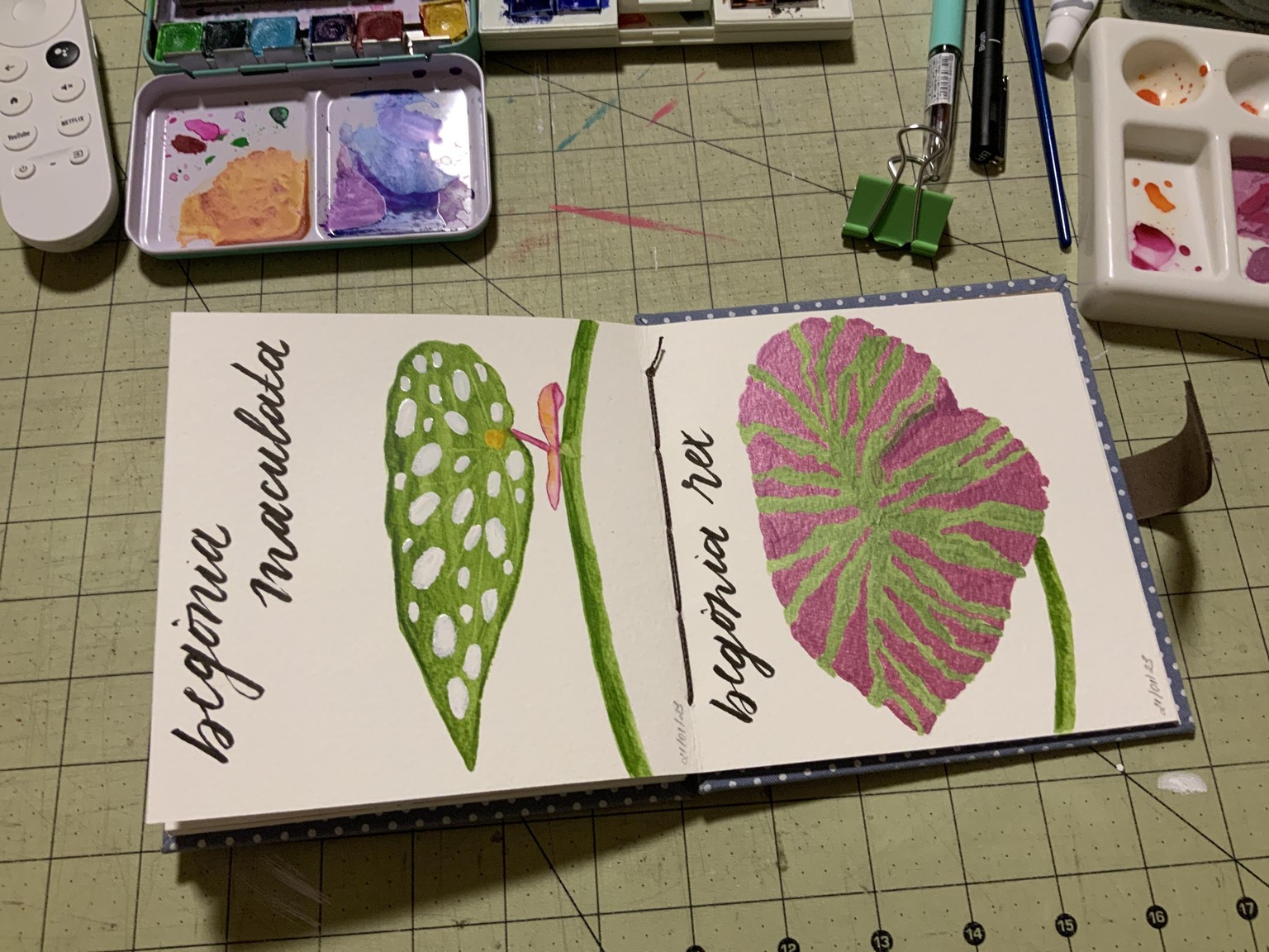 Caladium & More - image 3 - student project