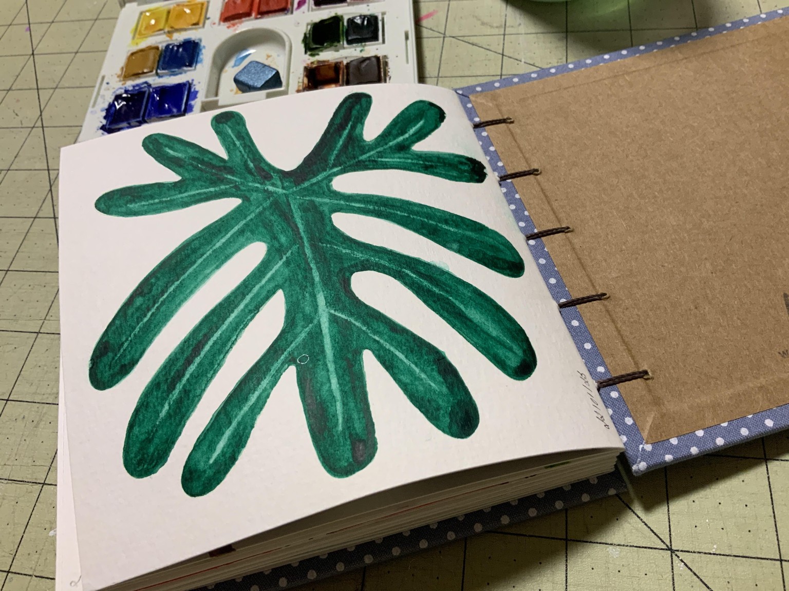 Caladium & More - image 1 - student project