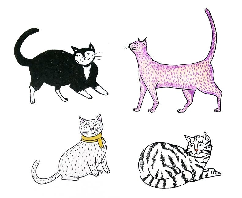Cute Kittens - image 1 - student project