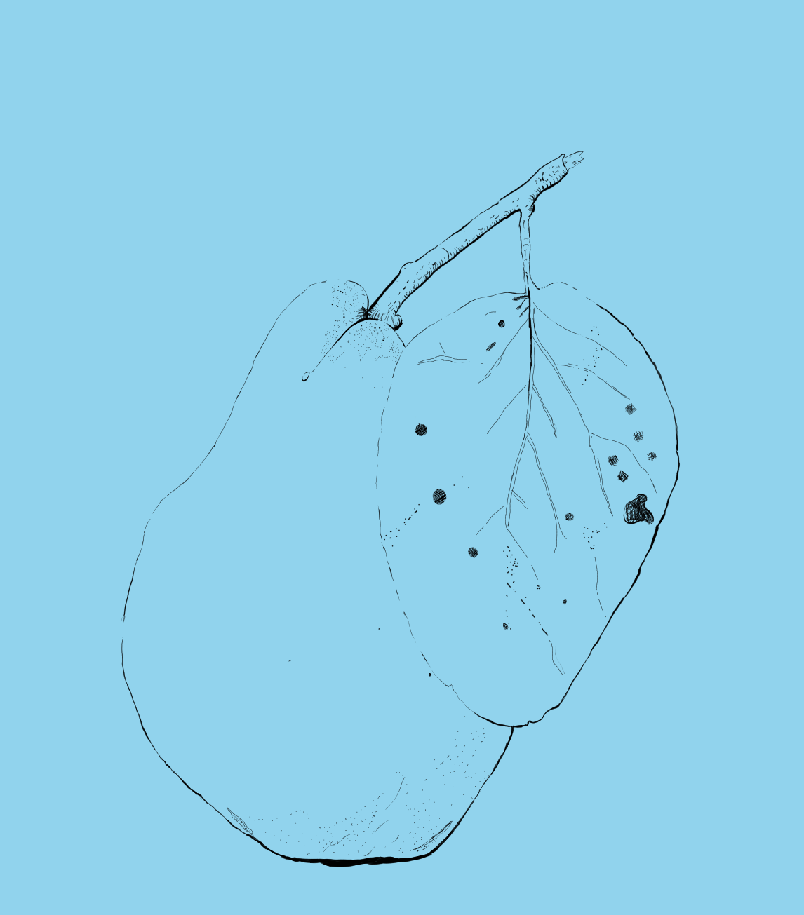 Pear - image 1 - student project