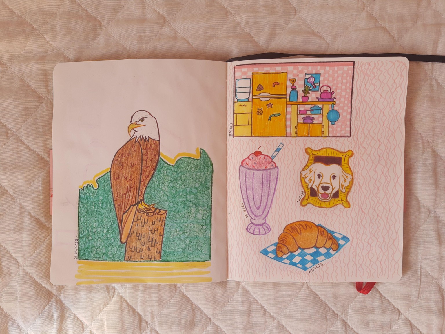 Creating a Drawing Habit - image 2 - student project