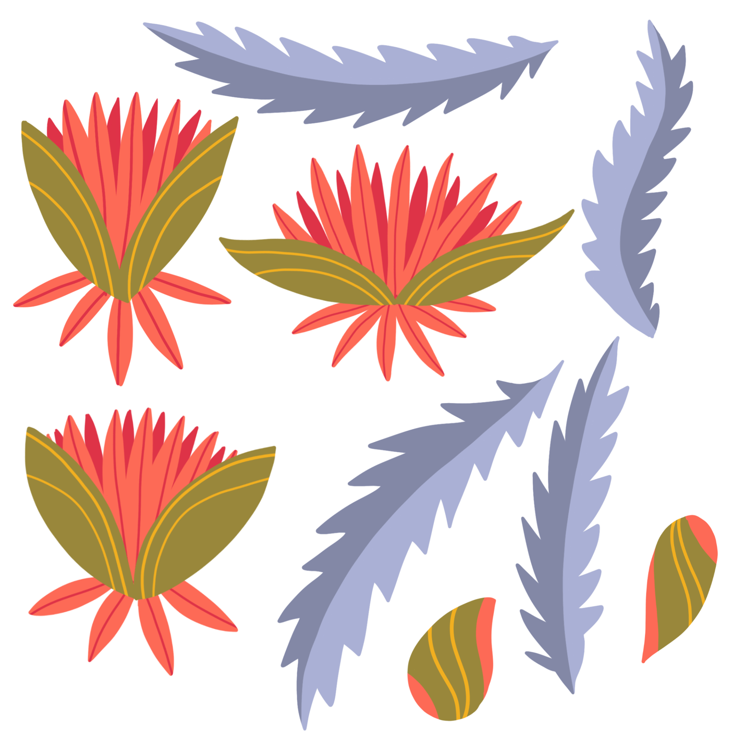 Little whipbird - image 1 - student project