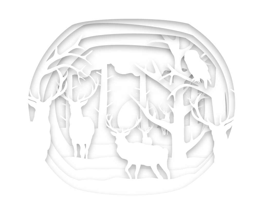 The Forest - image 2 - student project