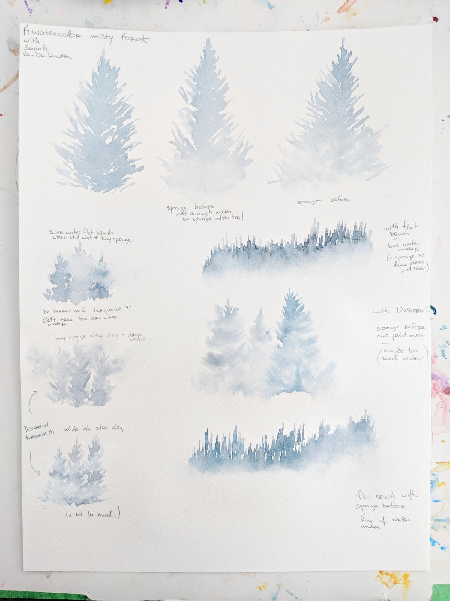 Misty forest - image 1 - student project