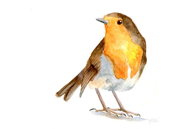 Little Robin - image 1 - student project