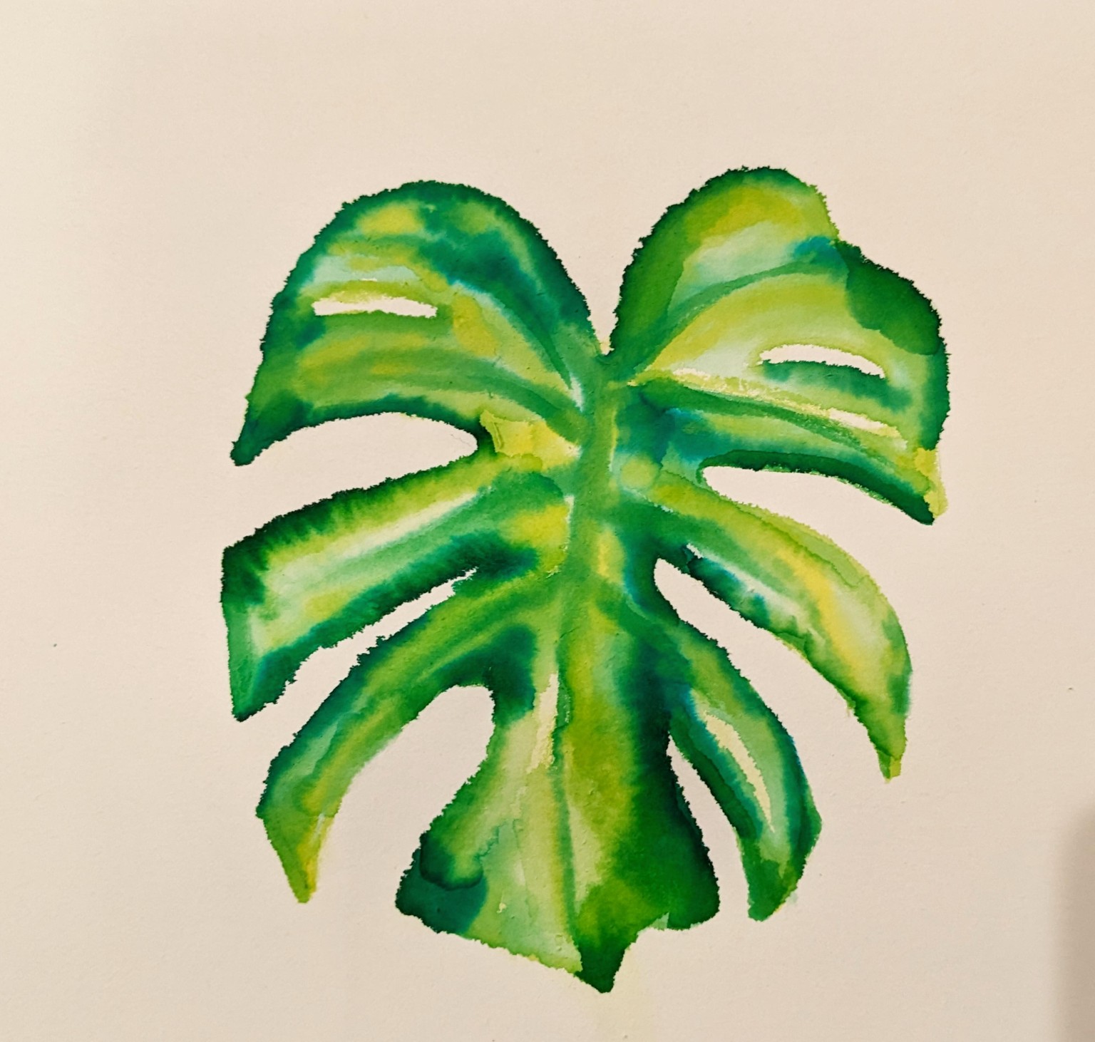 Monstera Leaf Project - image 1 - student project
