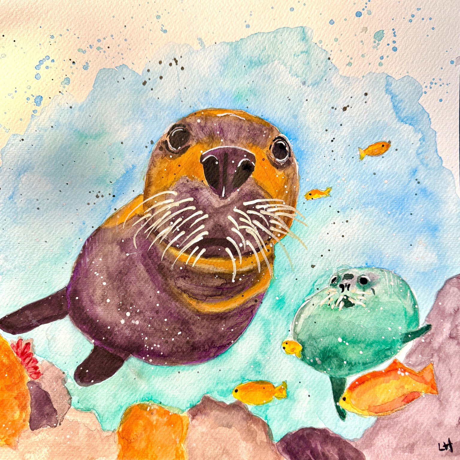 Curious Underwater Seals - image 1 - student project