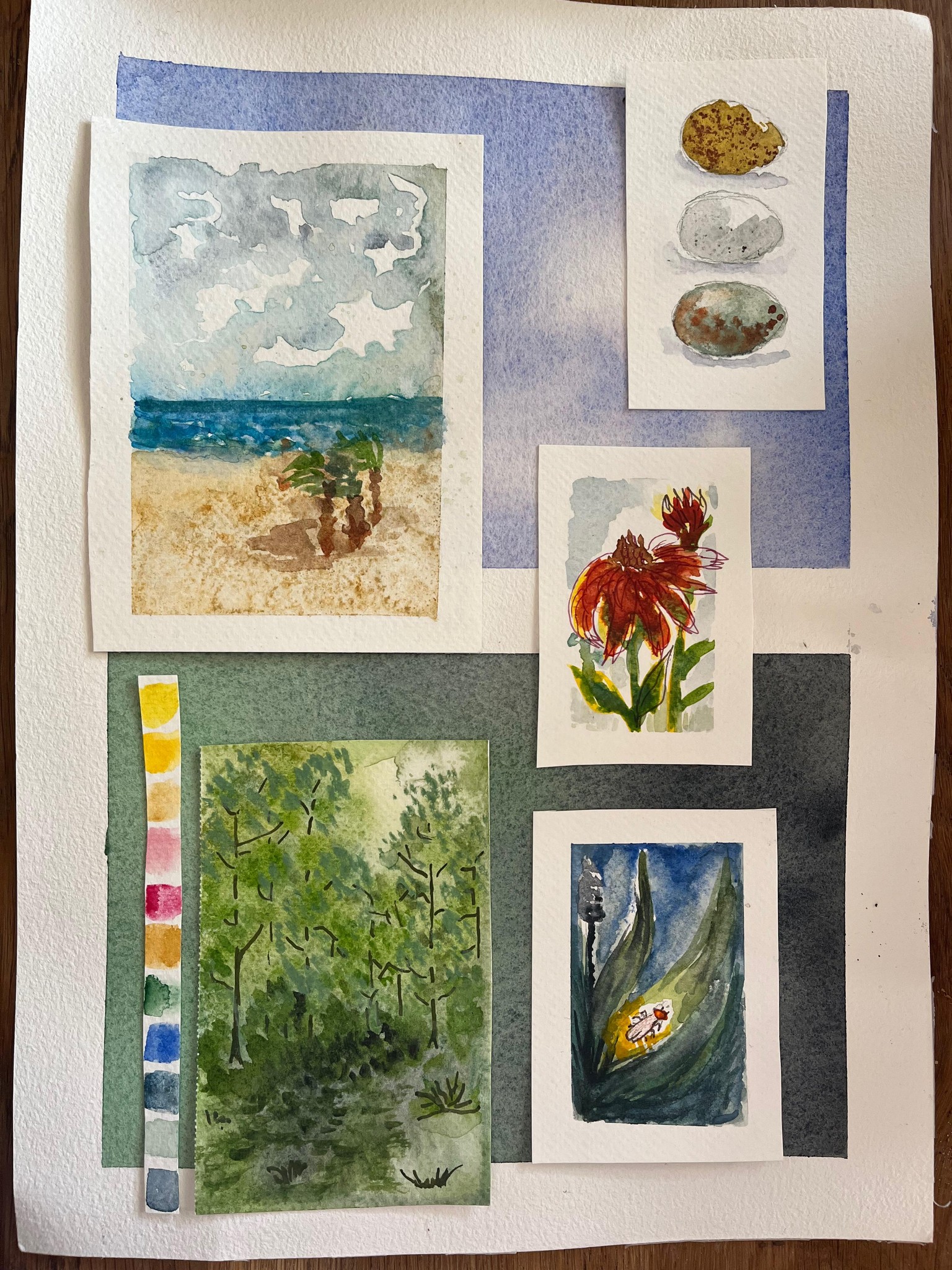 Watercolour Mood Board - image 1 - student project