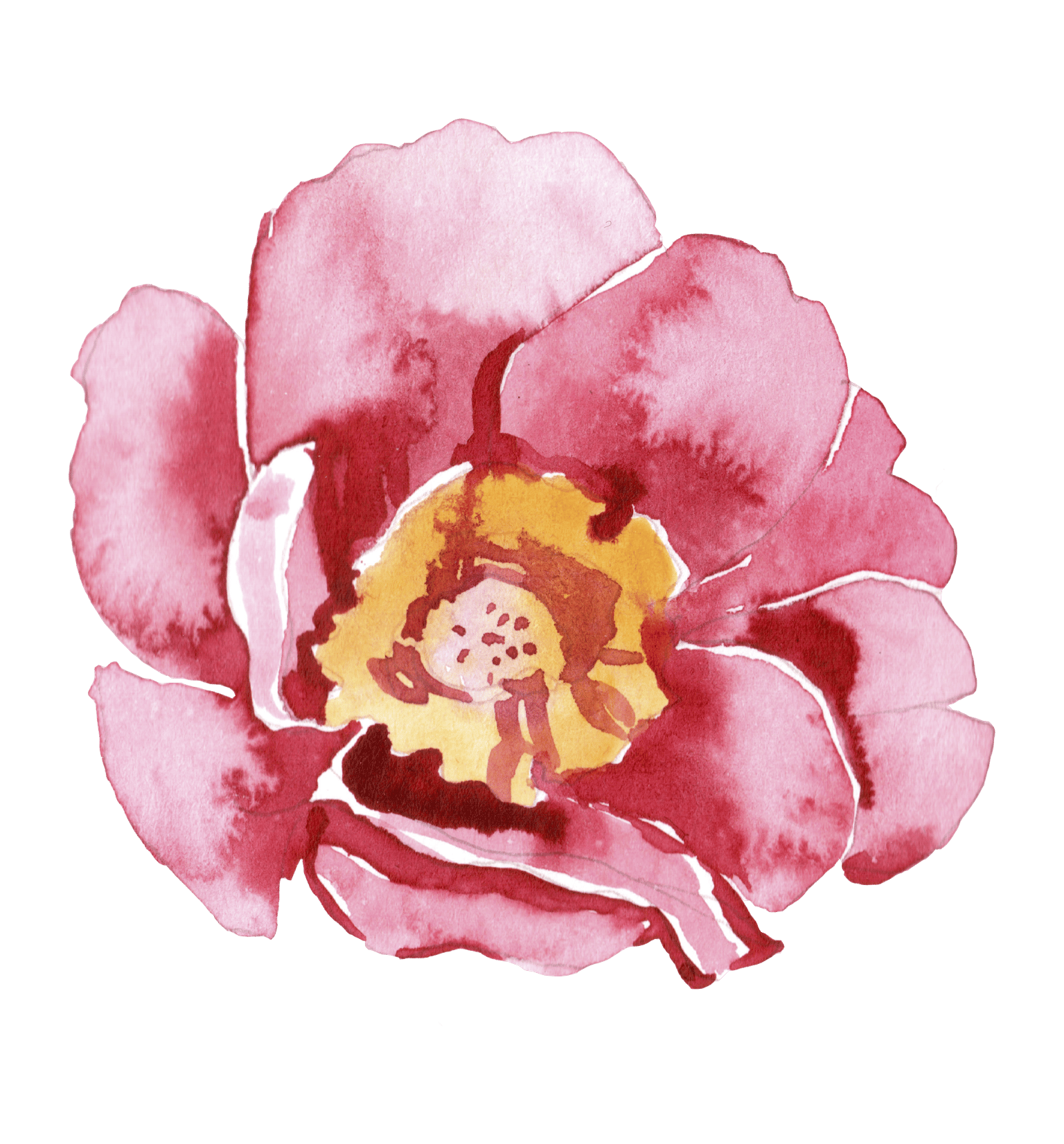 Peony painting ready to print! - image 1 - student project