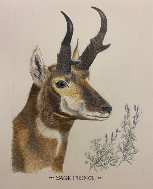 Pronghorn - image 1 - student project