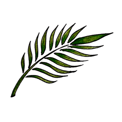 Naturaleza - image 6 - student project