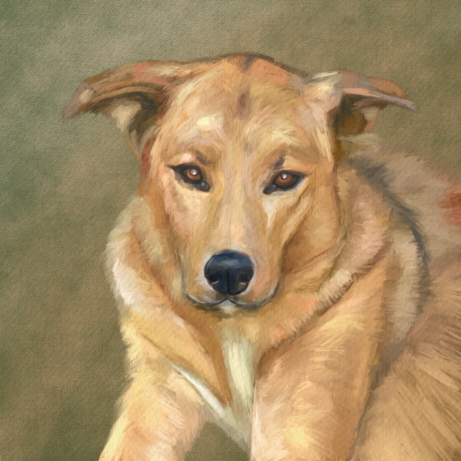 My dog Jean - image 1 - student project