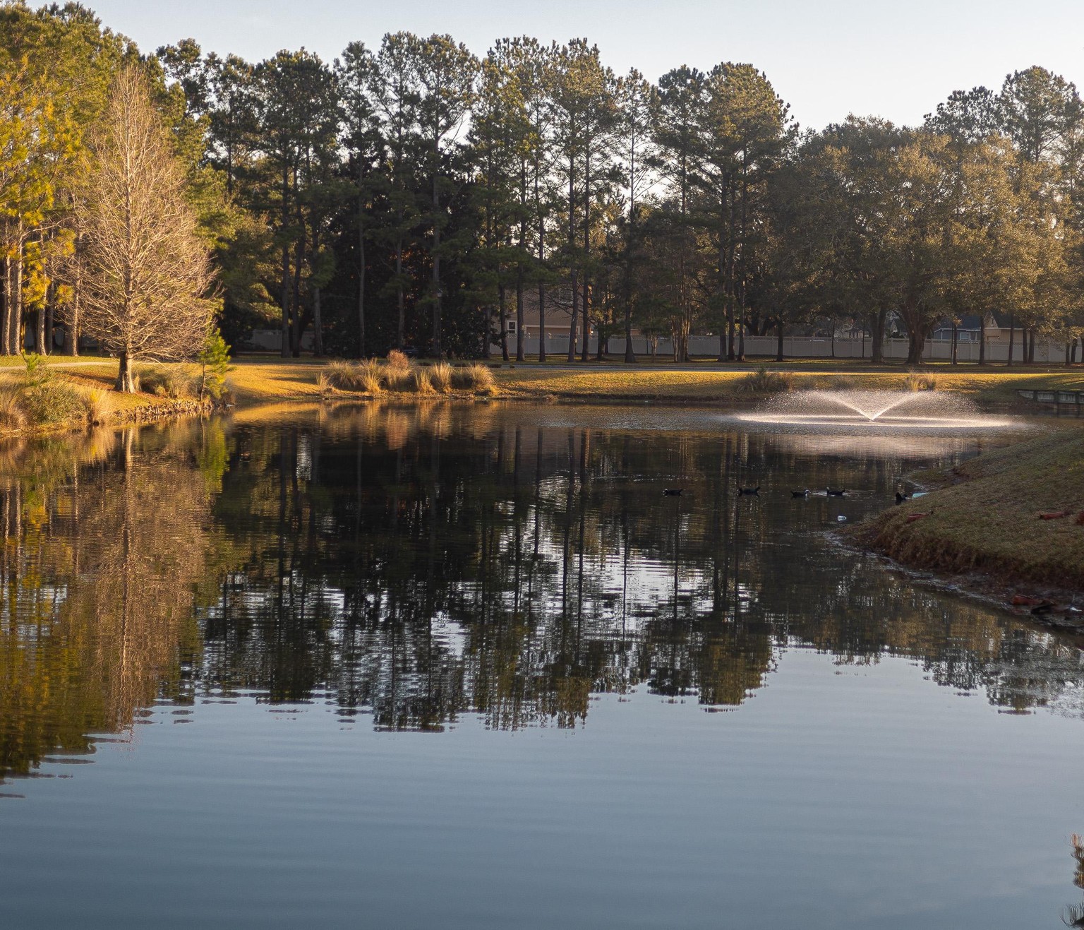 Oakleaf Park - image 1 - student project