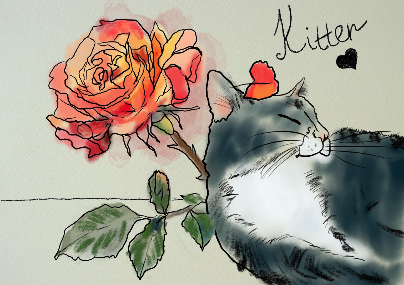 Kitten in the Violets garden - image 2 - student project