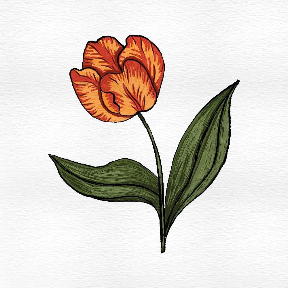Tulip - image 1 - student project