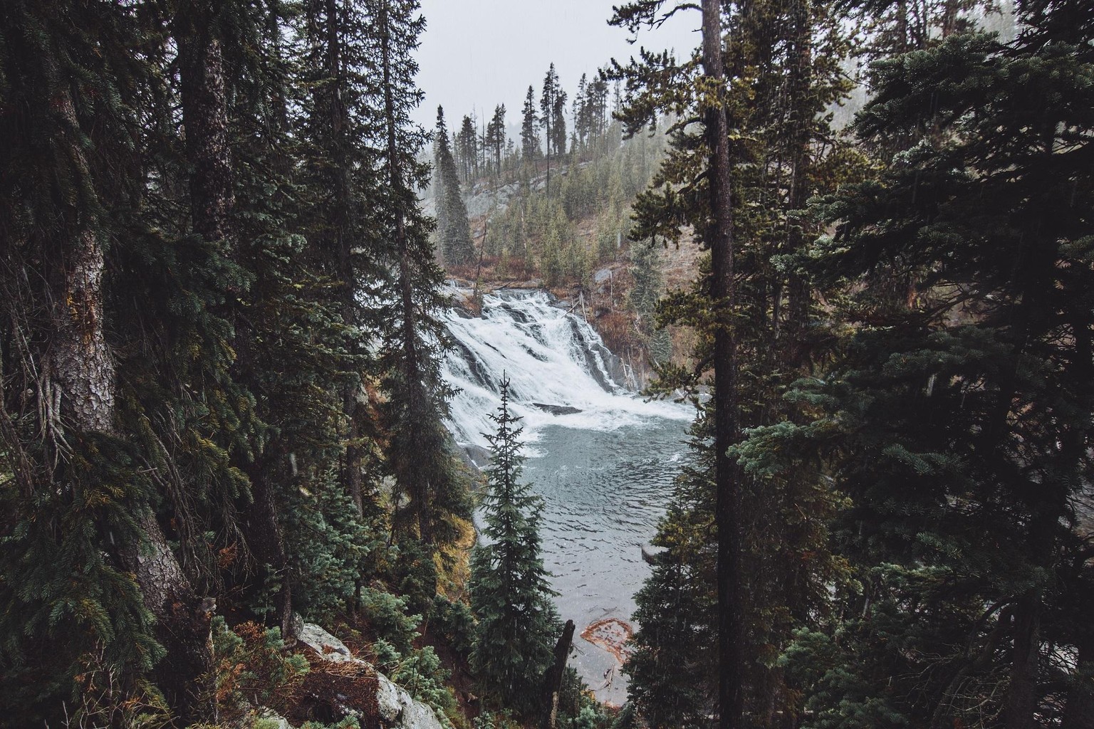 Last Day At Yellowstone - image 3 - student project