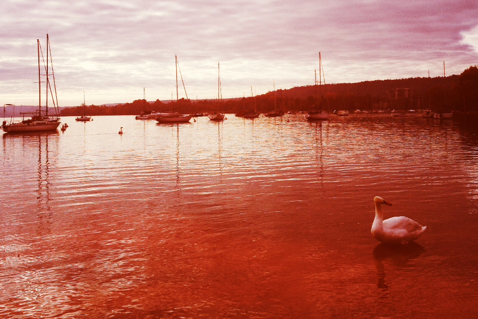 photo basics with an iPhone and Hipstamatic - image 1 - student project