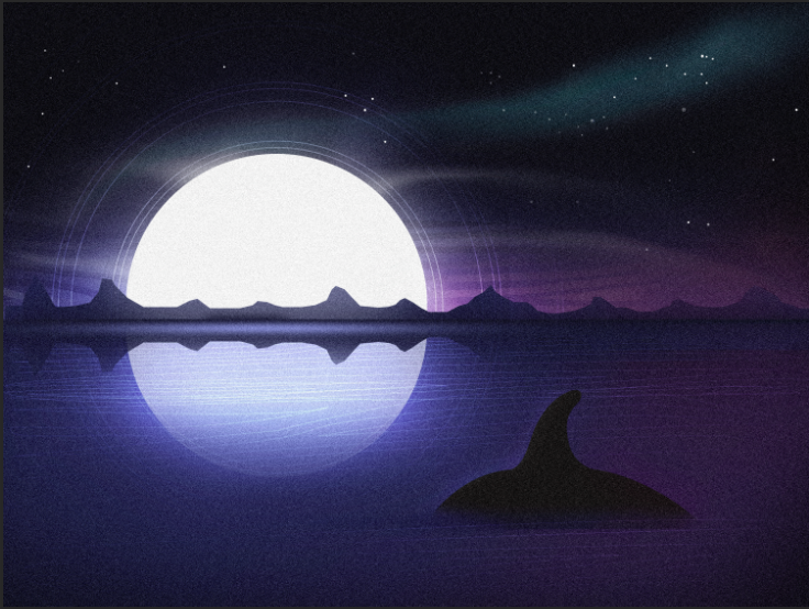 Orca Swim - image 1 - student project