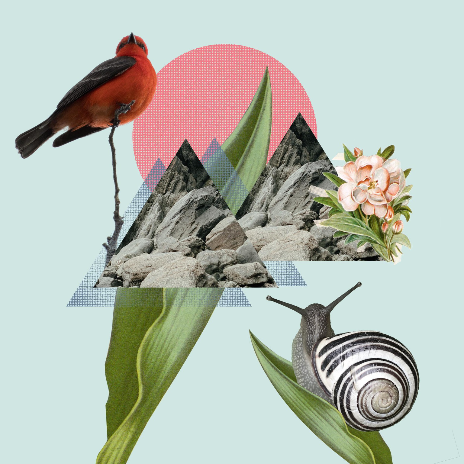 Common goals - image 1 - student project