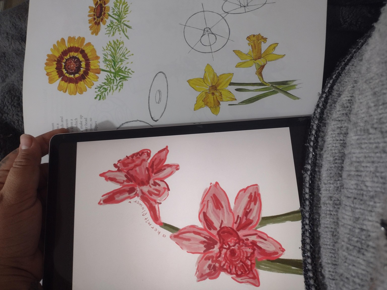 Experimentando - image 1 - student project