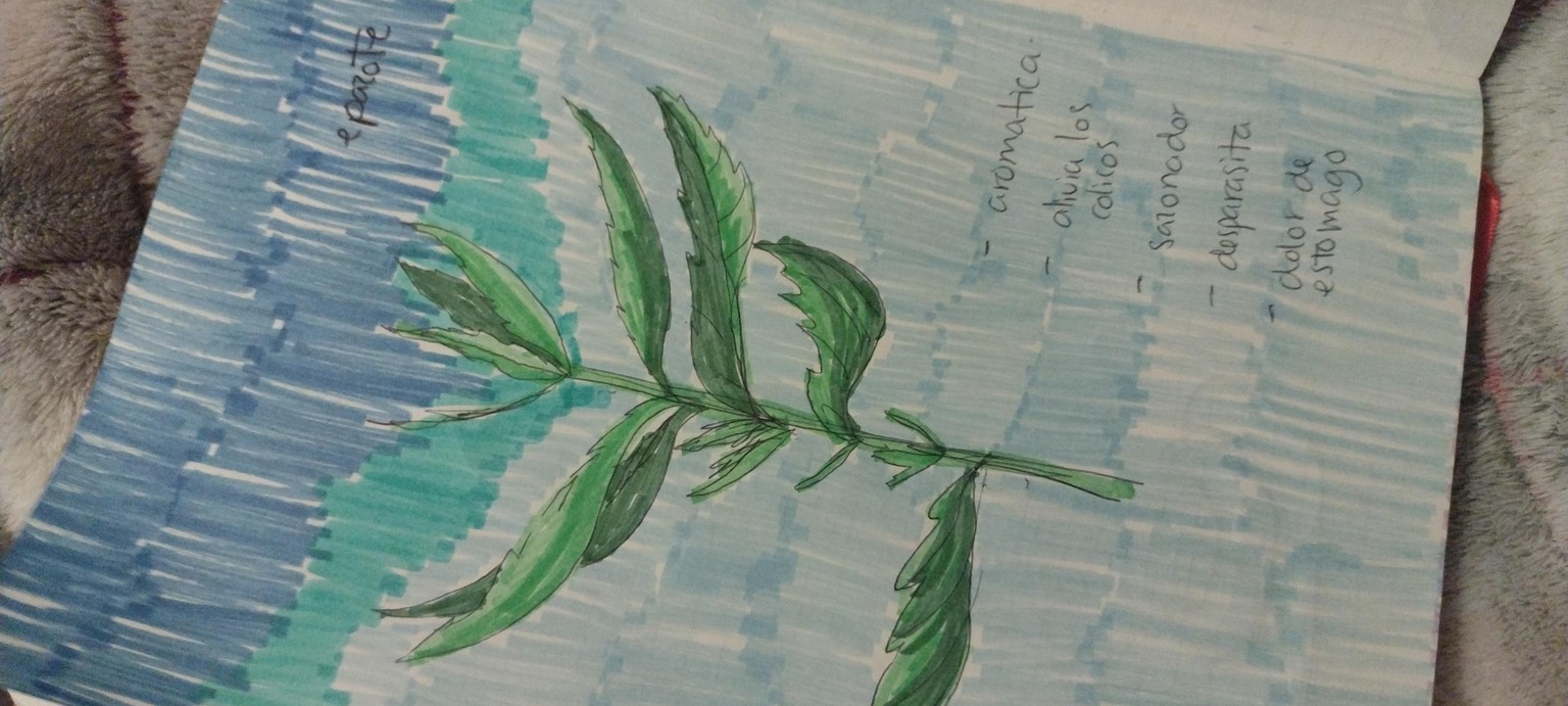 My prompt box - image 2 - student project