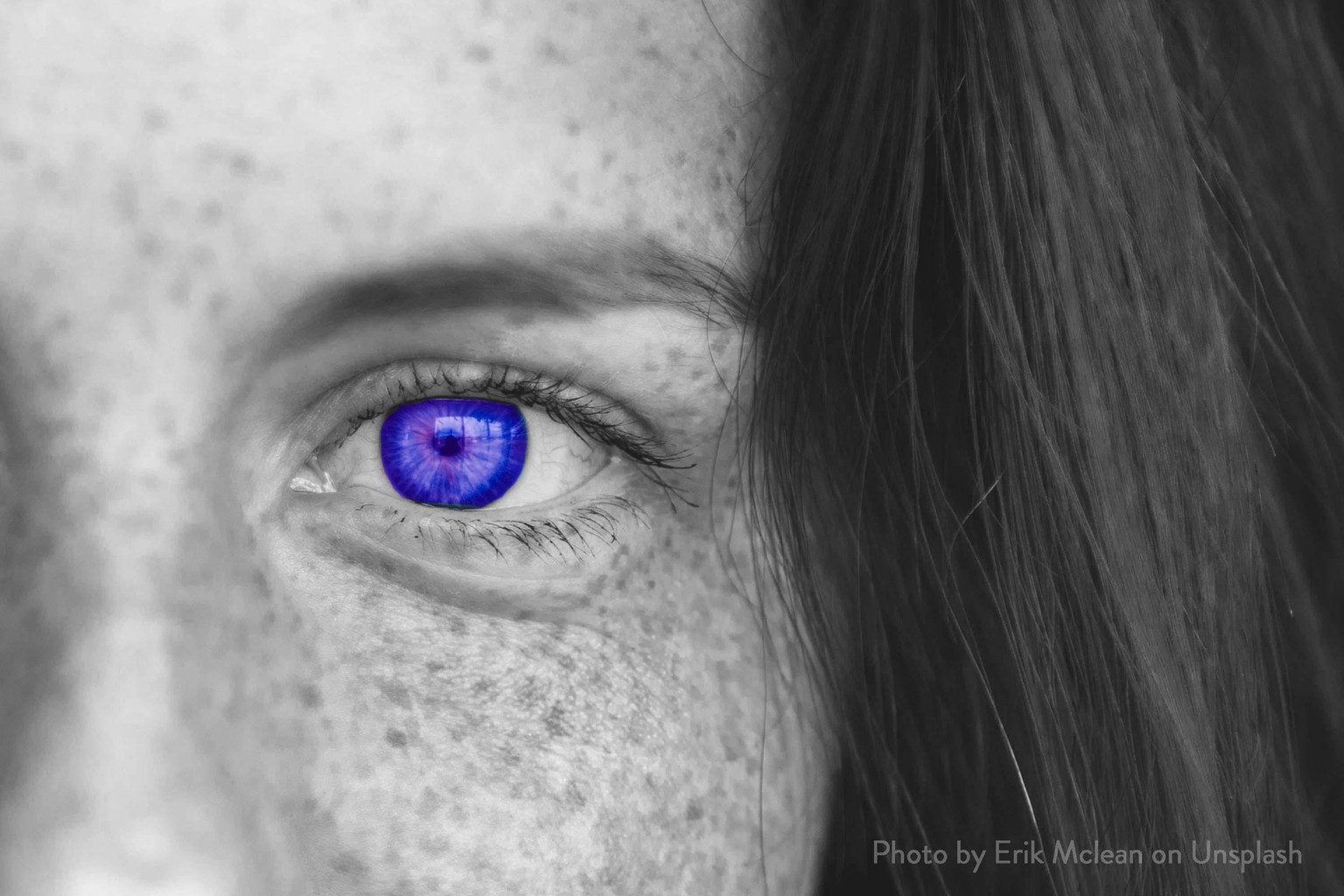 Final Class Project - image 1 - student project