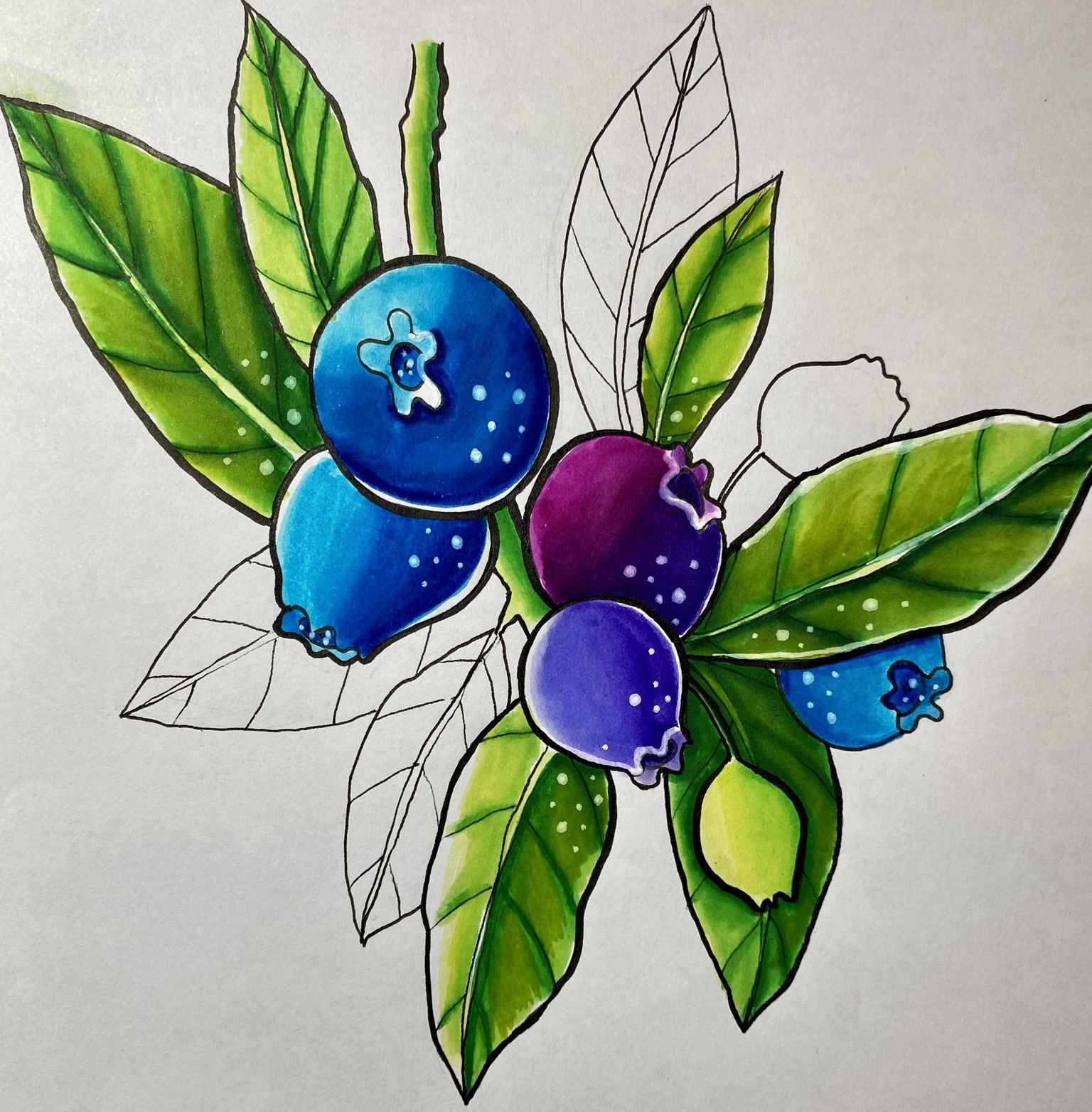 Fruit with Markers fun! - image 3 - student project