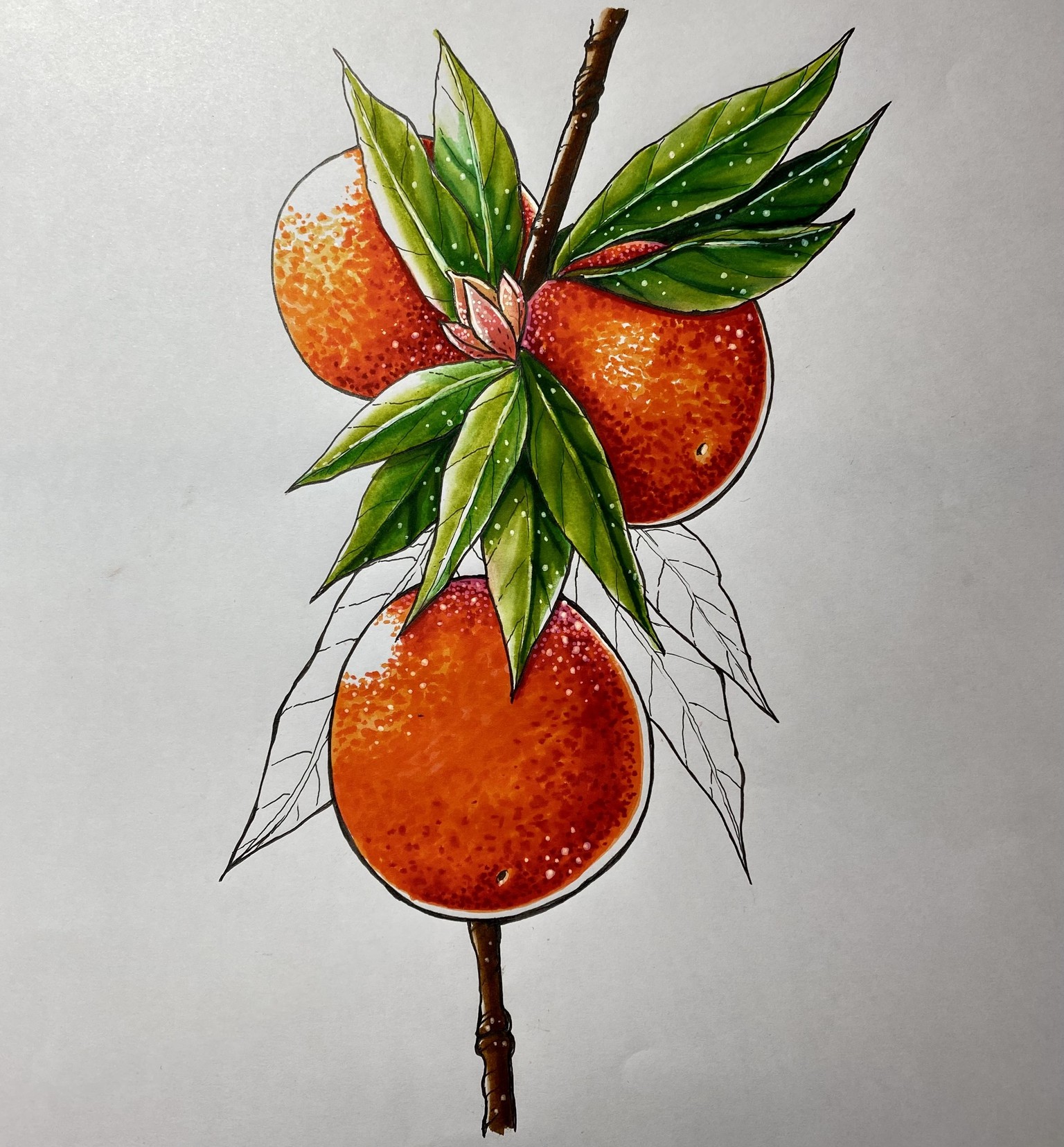 Fruit with Markers fun! - image 2 - student project