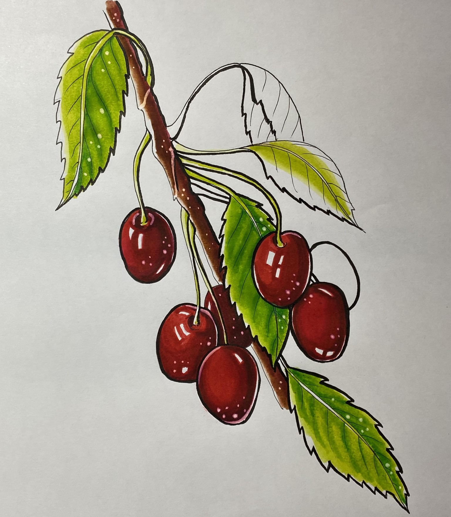 Fruit with Markers fun! - image 4 - student project