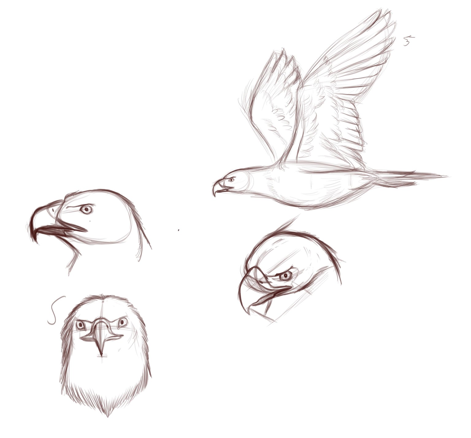 Eagle - image 1 - student project