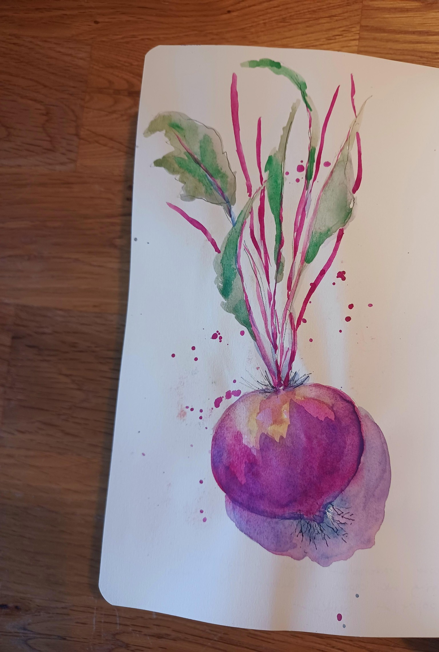 sketching vegetables using ink and watercolour - image 1 - student project